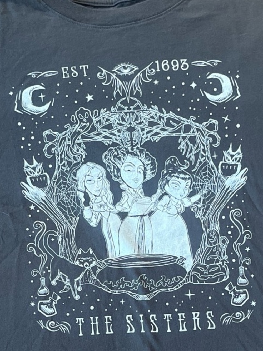 Disney Hocus Pocus Gray Graphic Tee "The Sisters" - Picture 4 of 4